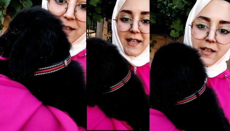 Nevşehir’de Hasta Köpeğini Barınağa Teslim Etti, Satıldığını Öğrendi